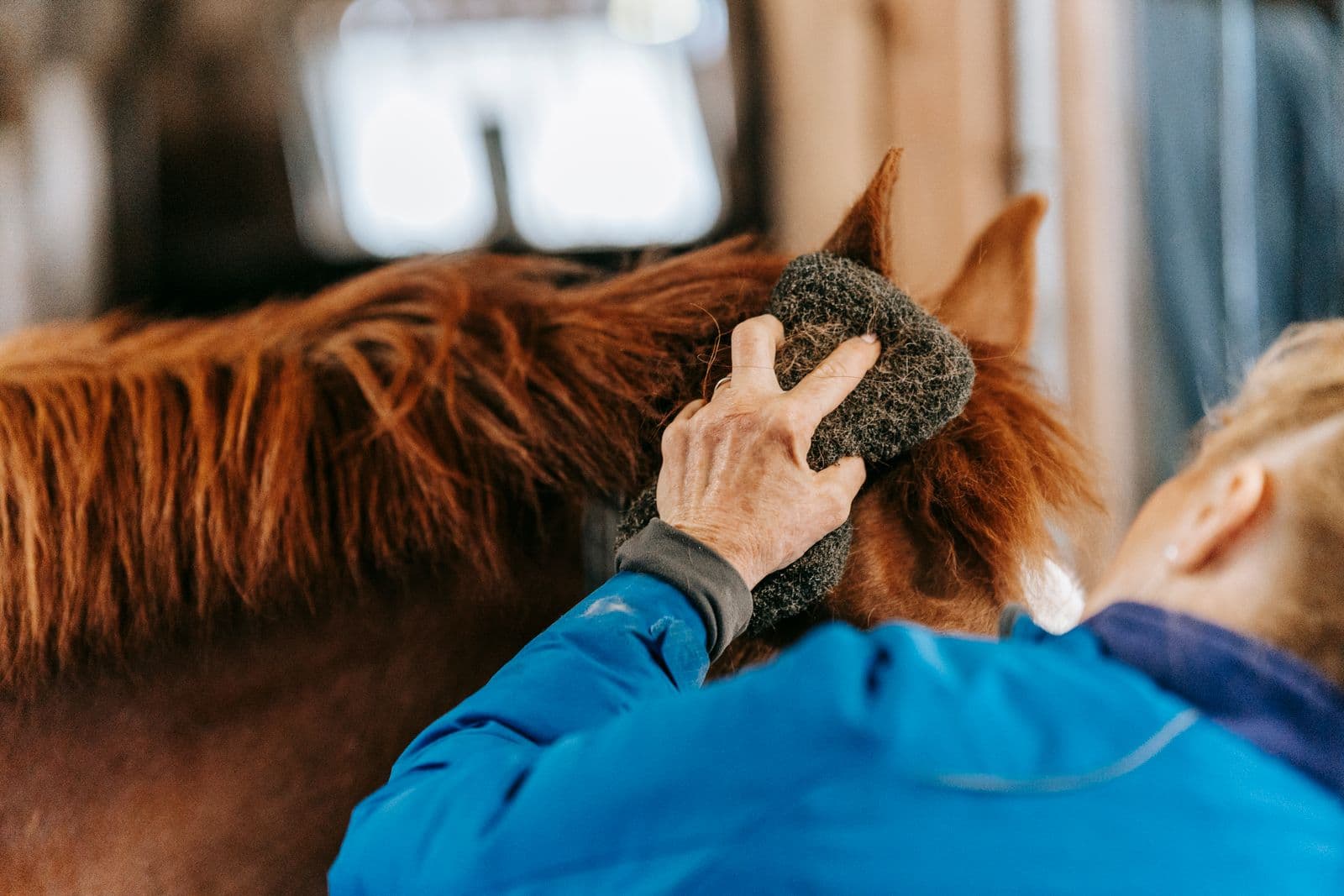 Full-time groom for show barn (live-in) in Wellington, Florida