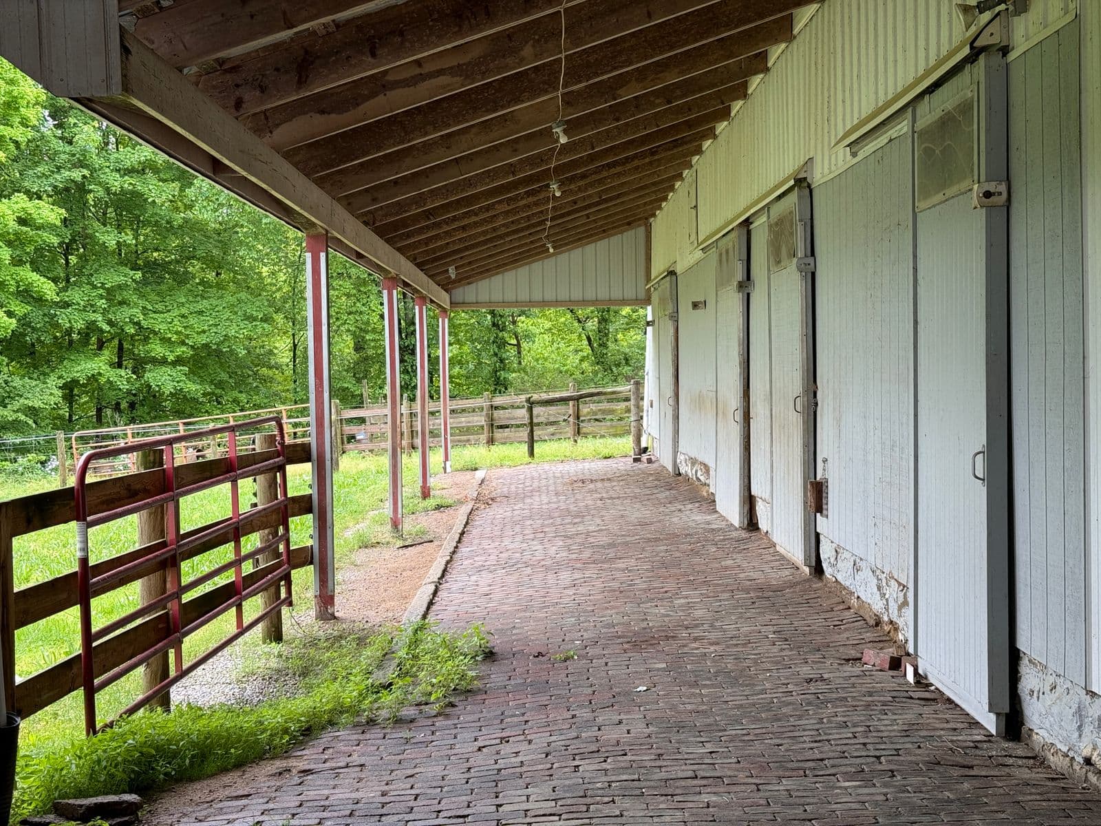 Full-care boarding at quiet private barn in Ocala, Florida