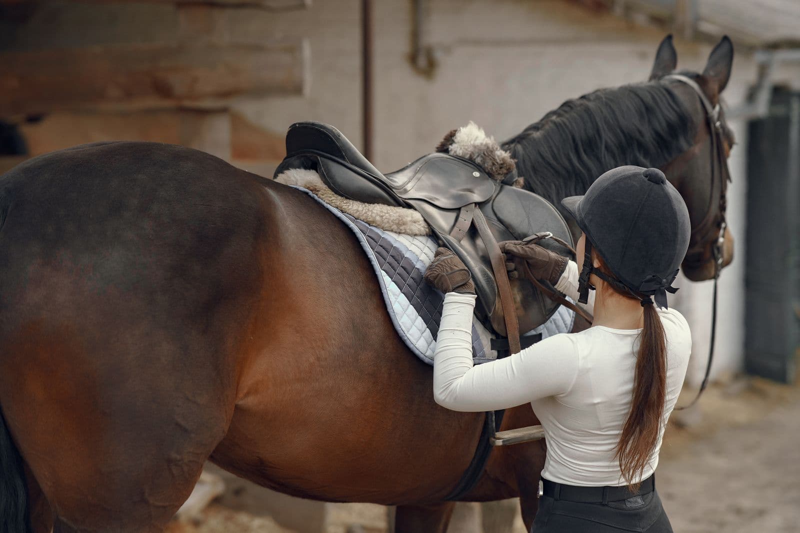 Bates Caprilli 17" dressage saddle, CAIR for Sale in Lexington, Kentucky