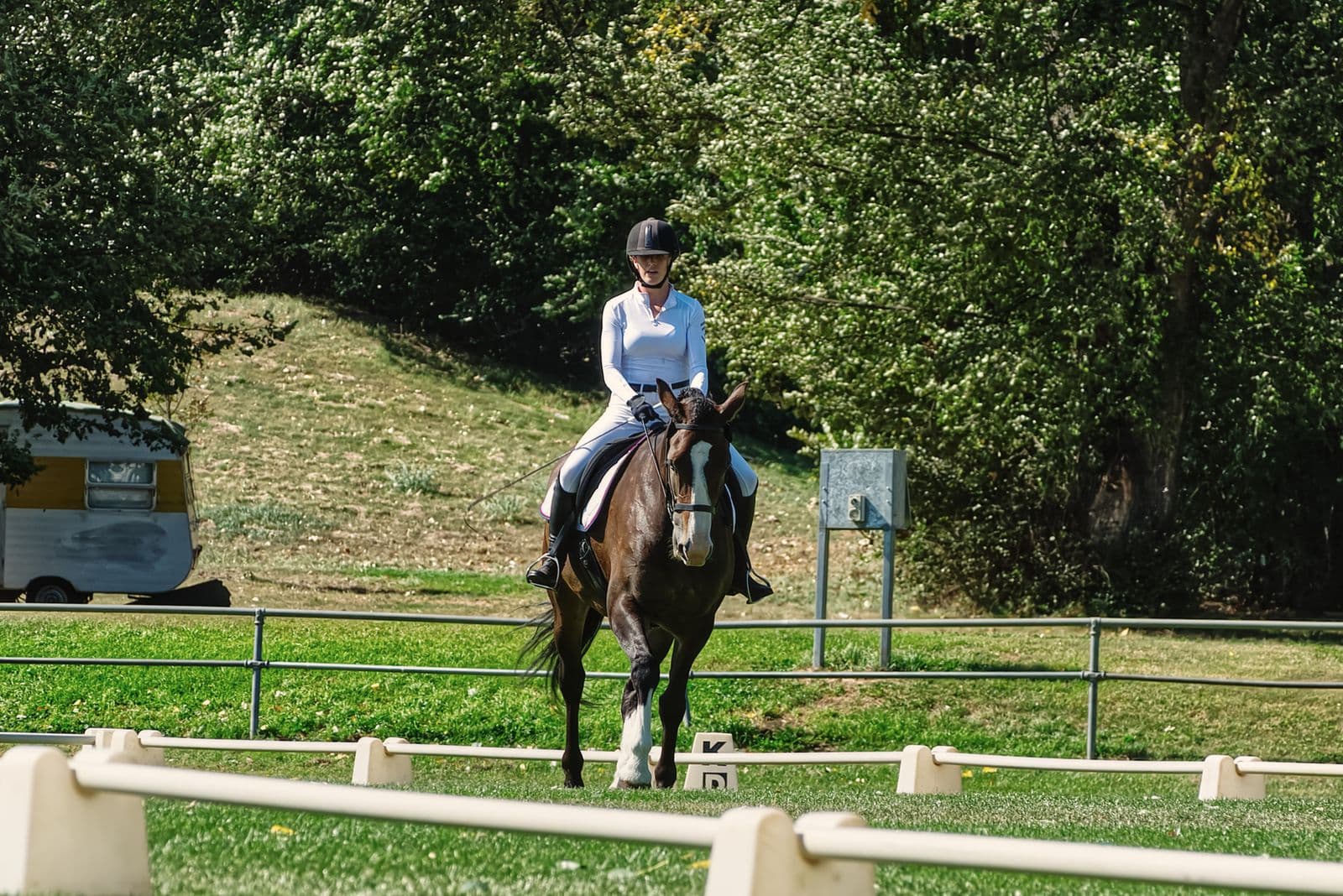 Professional dressage training & coaching in Lexington, Kentucky