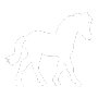 Foals For Sale